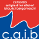 logo consorzio caib colorato